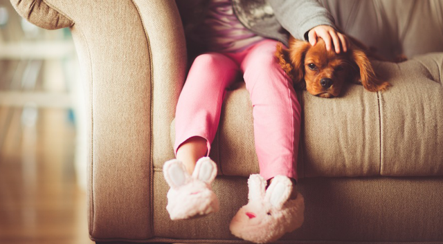 Child and dog sitting on a couch