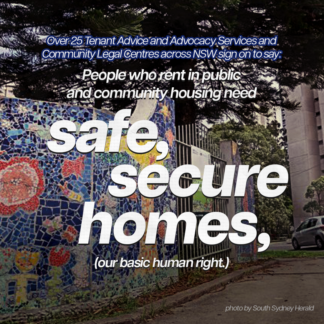 Text reads: People who rent in public and community housing need safe, secure homes. Backdrop is Waterloo mosaic in front of community garden. 