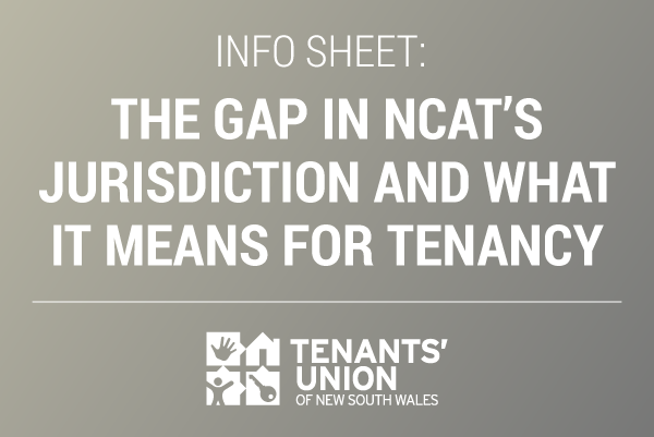 Text: Info sheet: The gap in NCAT's jurisdiction and what it means for tenancy