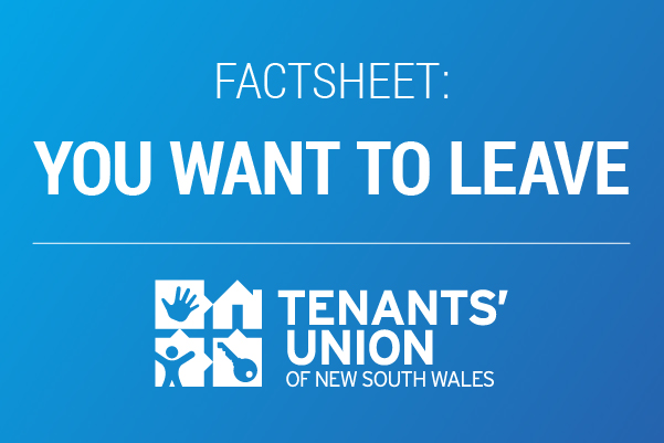 Factsheet: You want to leave. White text on a blue background.