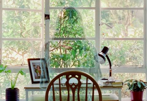 A silouette of a renter at a window