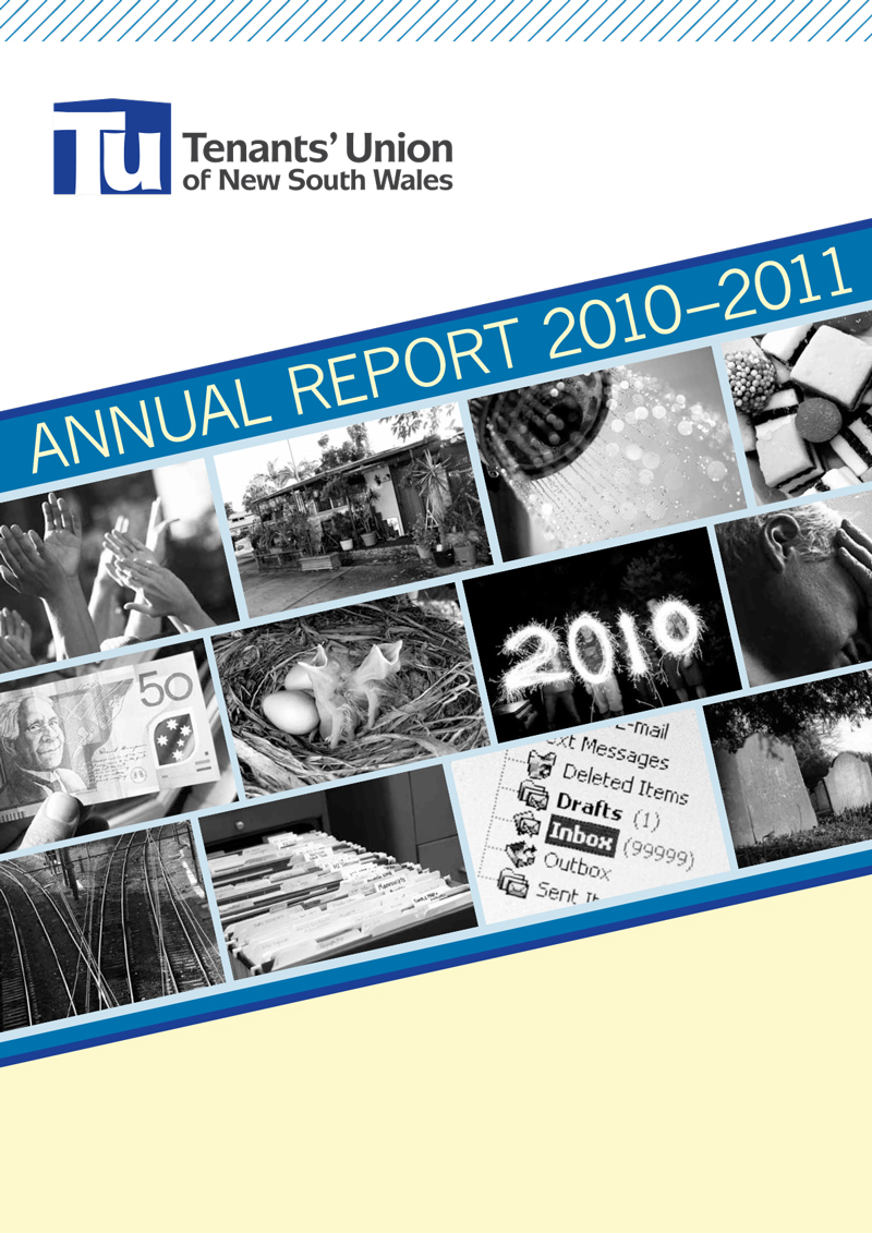 Annual Report cover with image montage including sparklers and birds